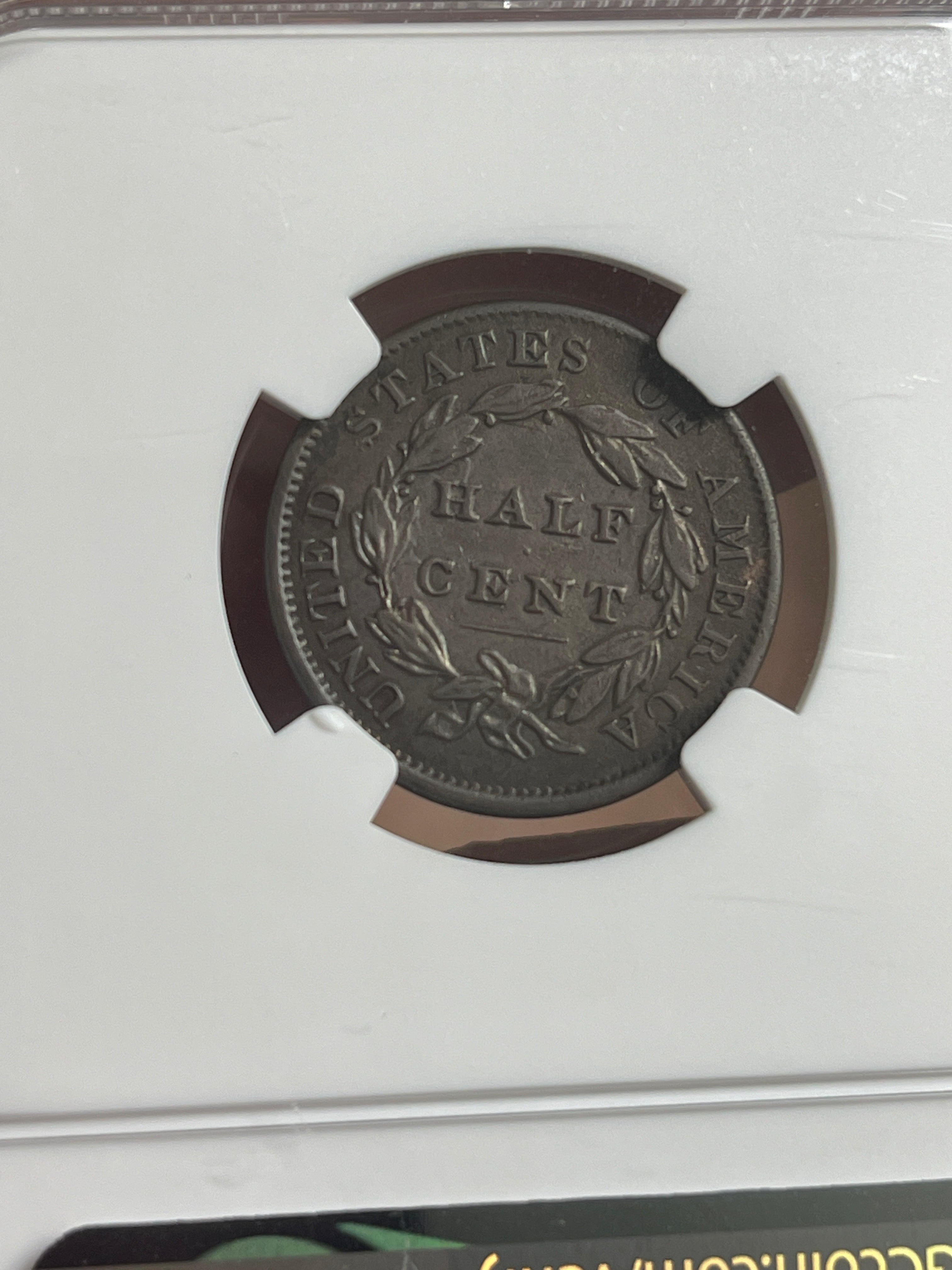 1834 Half Cent Classic Head C-1 NGC XF40 BN